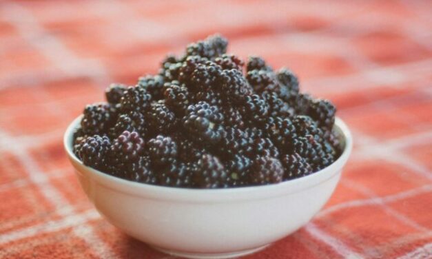 Fruit uit eigen tuin is goud waard