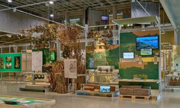 Tuinen van de toekomst: een droom in de winter