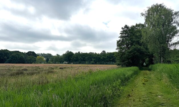 Klompenpad toont Utrecht en Gelderland op hun mooist