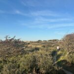 Kennemerduinen geschikt voor elk seizoen