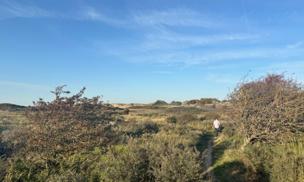 Kennemerduinen geschikt voor elk seizoen