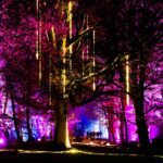 Kunst en natuur versmelten in De Grote Schijn