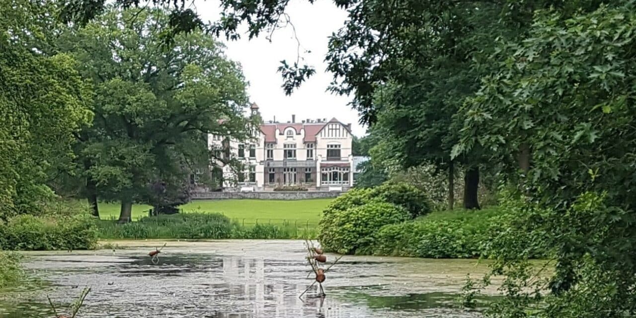 Op zoek naar Hildo Krop in Steenwijk