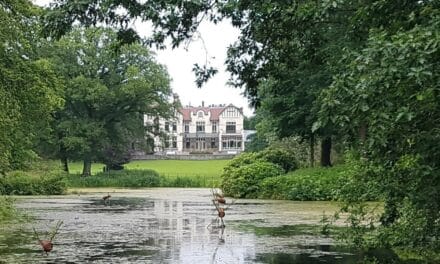 Op zoek naar Hildo Krop in Steenwijk