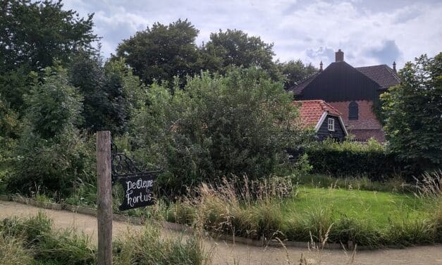 Geniet dit weekeinde nog van De Cleyne Hortus