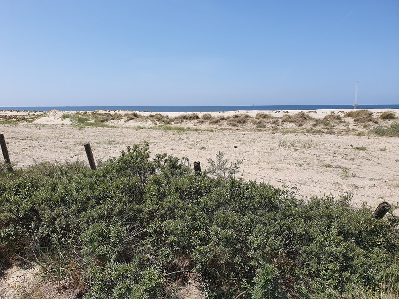 Fietsvakantie langs de kust als ‘sentimental journey’