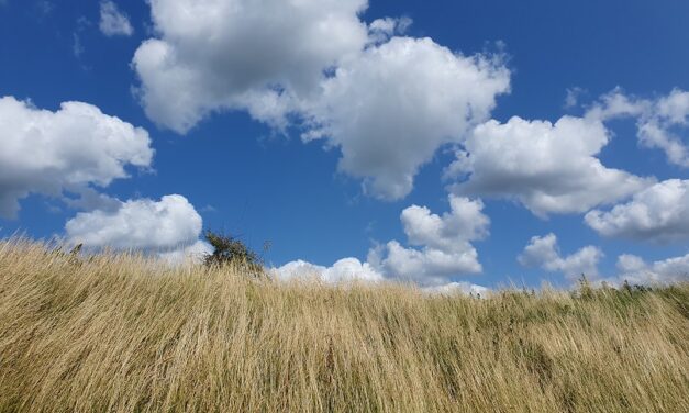 Terug trappen met de wind in de rug