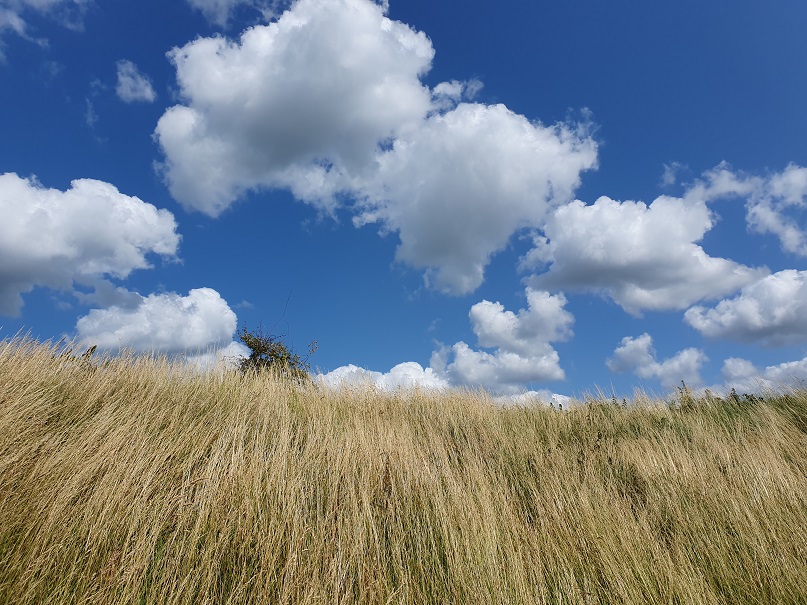 Terug trappen met de wind in de rug