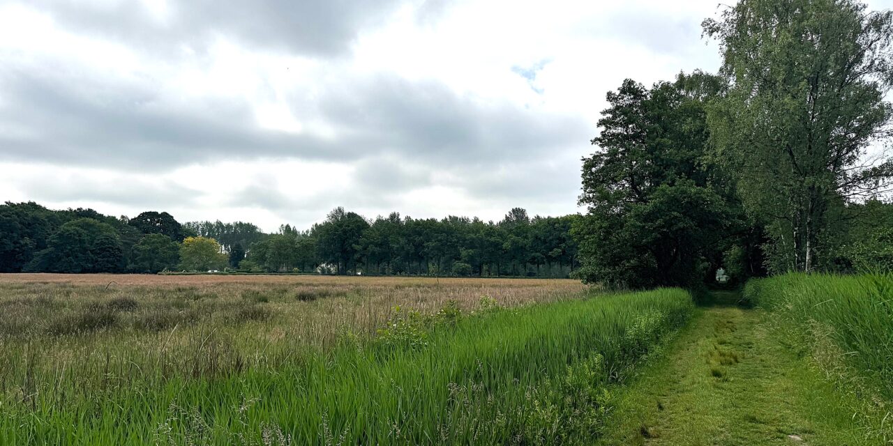 Klompenpad toont Utrecht en Gelderland op hun mooist
