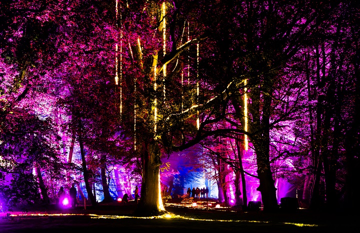 Kunst en natuur versmelten in De Grote Schijn