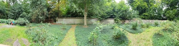 Het mysterie van het Echobos