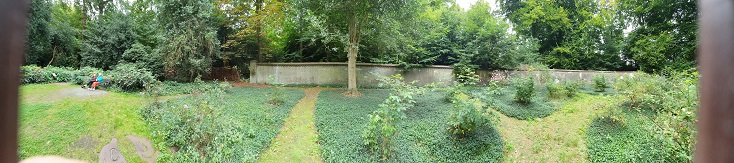 Het mysterie van het Echobos