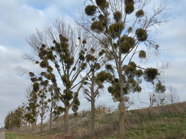 Toeren door Zuid-Limburg
