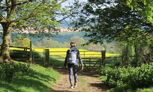 De overbodigen – Herman Koch