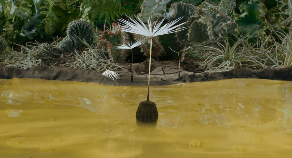 Still paardenbloempluis uit Dandelions Odyssey