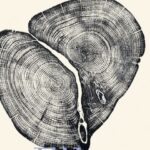 Elke Dag – Maarten Asscher