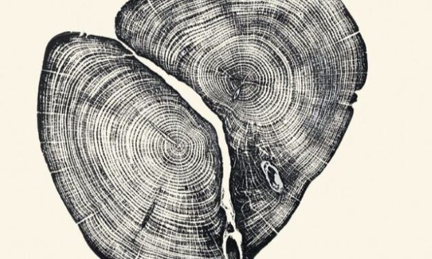 Elke Dag – Maarten Asscher