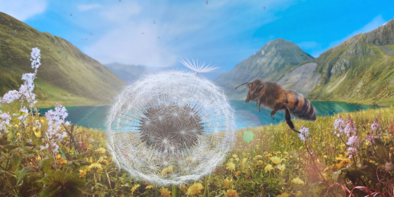 Kijk eens: Dandelion’s Odyssey