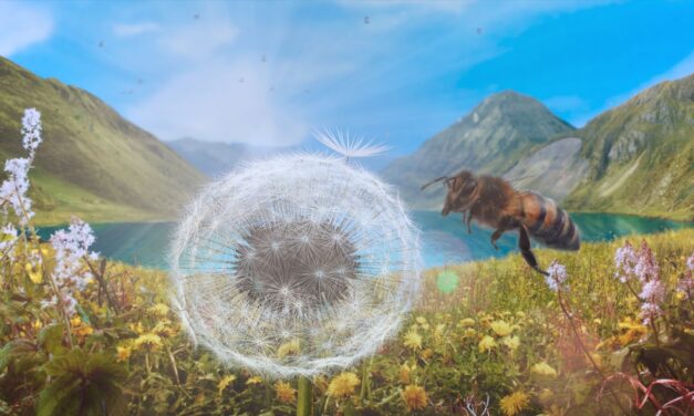 Kijk eens: Dandelion’s Odyssey