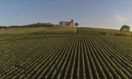 Champagne, meer dan bubbels