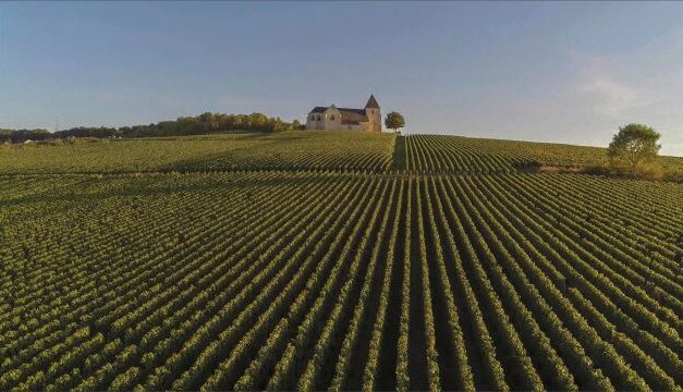 Champagne, meer dan bubbels