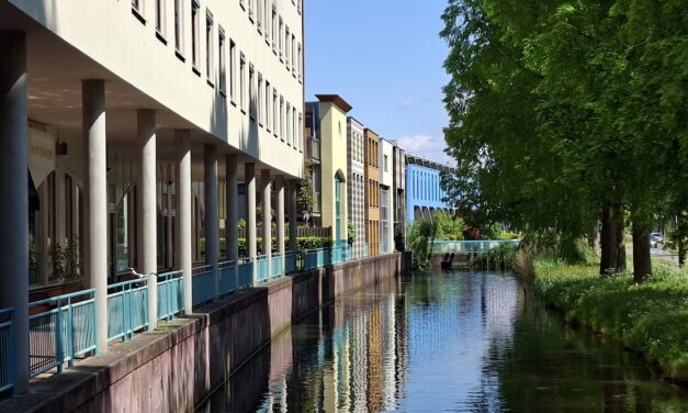 Domweg gelukkig Vinexwandelen
