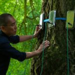 Kijk eens: Ster van de film is… een boom
