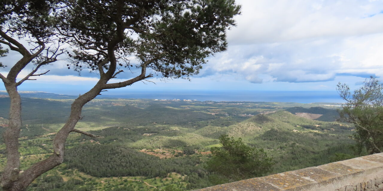 Vroeg of laat naar Mallorca