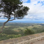 Vroeg of laat naar Mallorca
