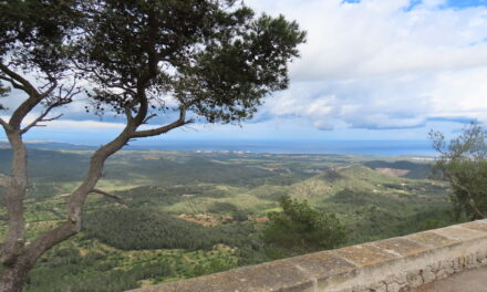 Vroeg of laat naar Mallorca