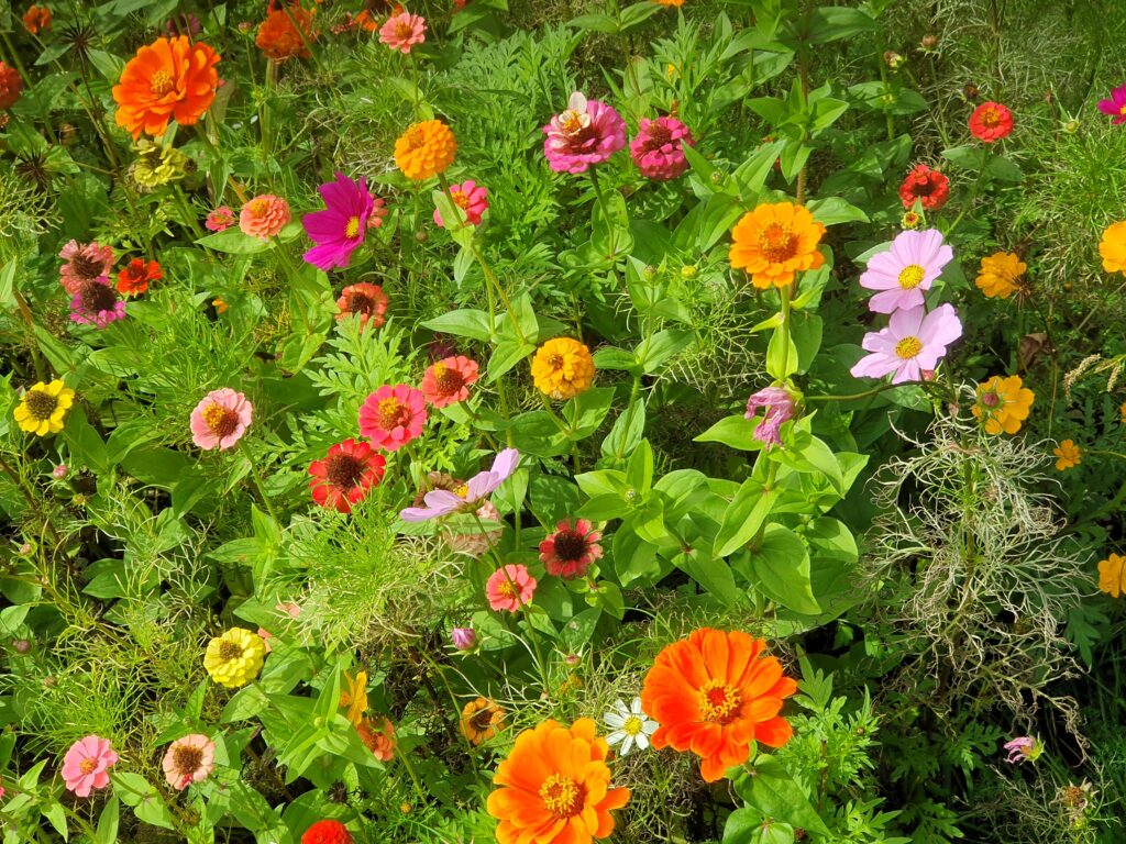 Bloemrijk Rosenhaege